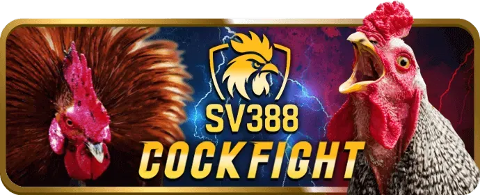 Mở ứng dụng shbet50 casino sau khi cài đặt